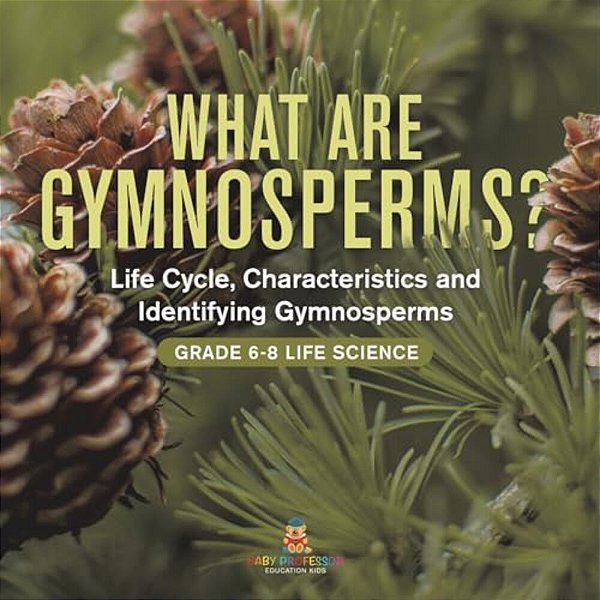 What Are Gymnosperms? Life Cycle, Characteristics And Identifying Gymnosperms Grade 6-8 Life Science-..