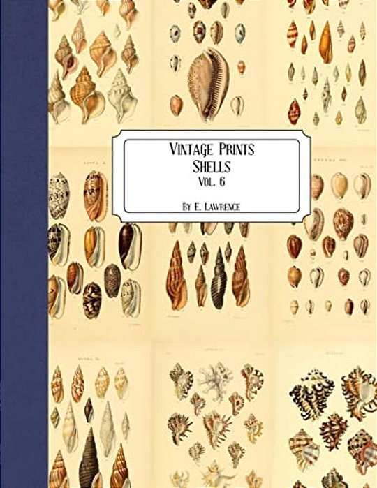 Vintage Prints: Shells: Vol. 6-..