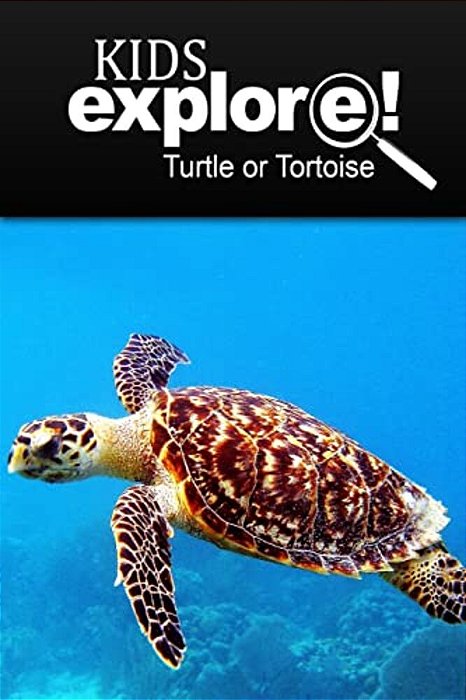Turtle Or Tortoise - Kids Explore: Animal Books Nonfiction - Books Ages 5-6-..