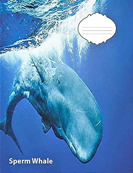 Sperm Whale Wide Ruled Line Paper Composition Book: Whale Fans, Elementary Students, School Supplies, Visual Imparied, Large Handwriting-..