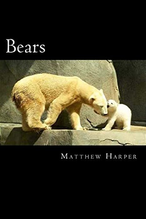 Bears: A Fascinating Book Containing Bear Facts, Trivia, Images & Memory Recall Quiz: Suitable For Adults & Children-..