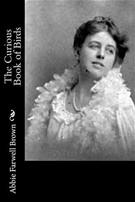 The Curious Book Of Birds-..