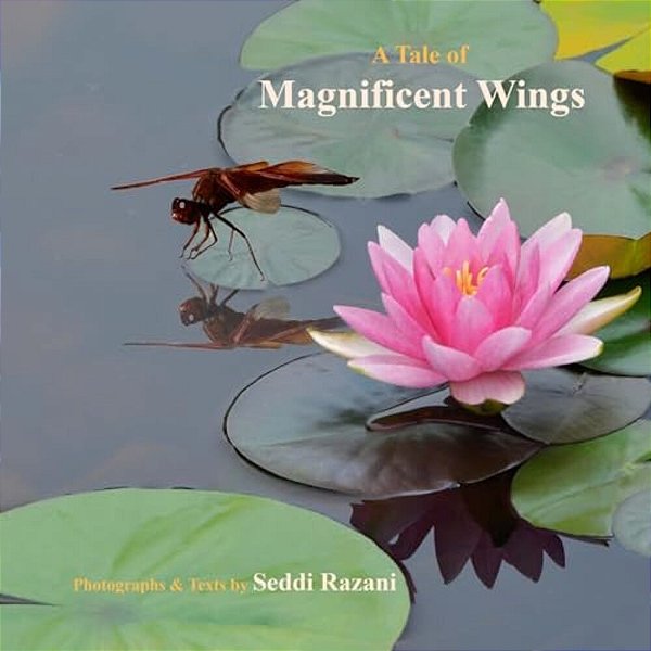 A Tale Of Magnificent Wings: My Adventure With Dragonflies-..