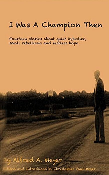 I Was A Champion Then: Fourteen Stories About Quiet Injustice, Small Rebellions And Restless Hope-..