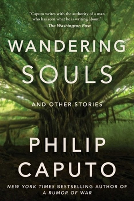 Wandering Souls: And Other Stories-..