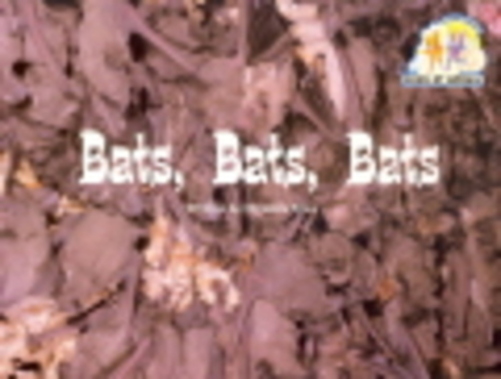 Pair-It Books Emergent Stage 1 Bats Bats, Bats, Bats Student Edition-..