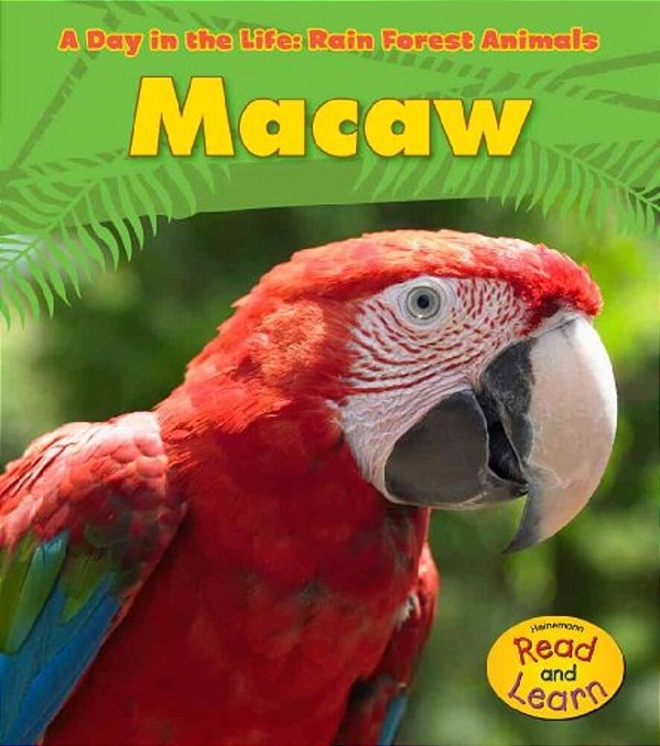 Macaw (A Day In The Life)-..
