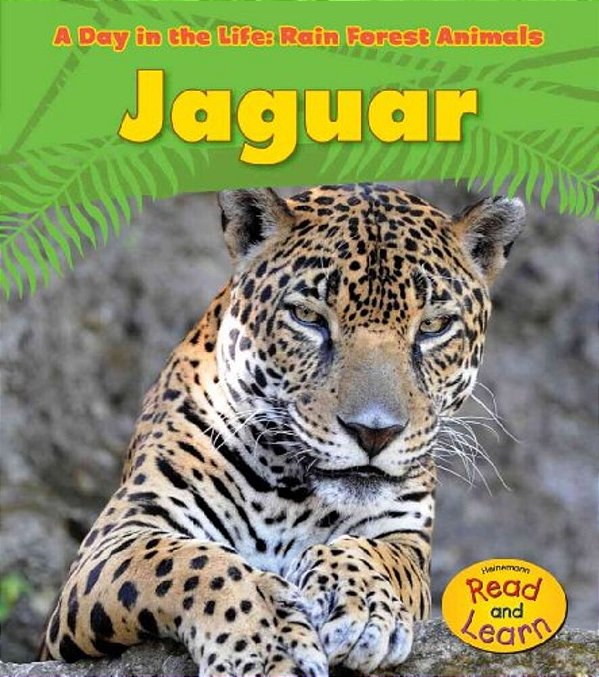 Jaguar (A Day In The Life)-..