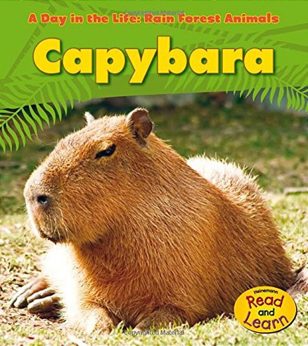 Capybara (A Day In The Life)-..