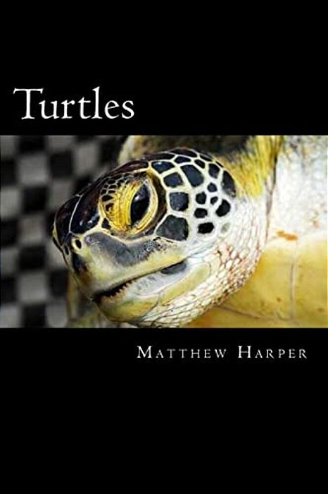 Turtles: A Fascinating Book Containing Turtle Facts, Trivia, Images & Memory Recall Quiz: Suitable For Adults & Children-..