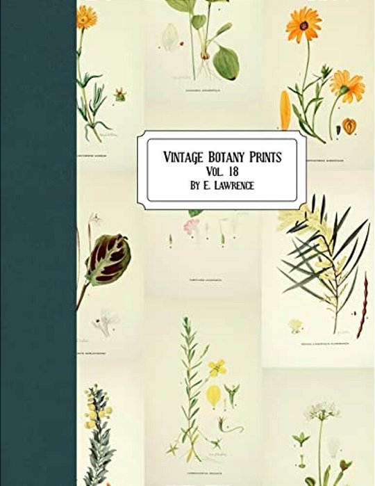 Vintage Botany Prints: Vol. 18-..