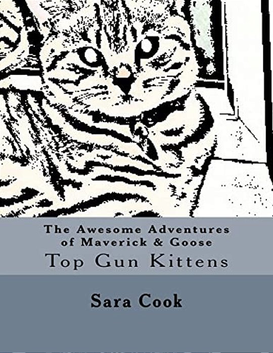 The Awesome Adventures Of Maverick & Goose: Top Gun Kittens-..