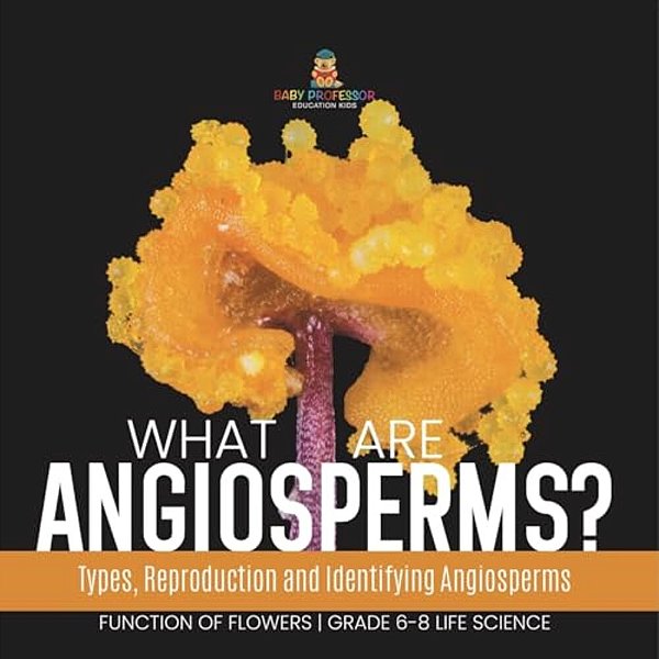 What Are Angiosperms? Types, Reproduction And Identifying Angiosperms Function Of Flowers Grade 6-8 Life Science-..