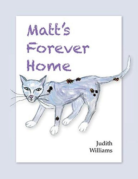 Matt's Forever Home-..