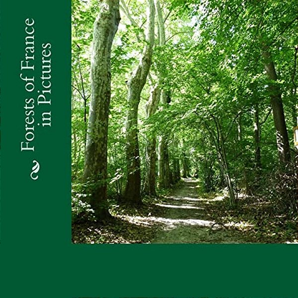 Forests Of France In Pictures: A Text-Free Picture Book For Alzheimer'S, Seniors, Children-..