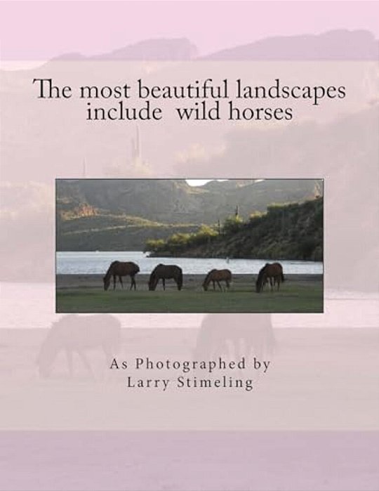 The Most Beautiful Landscapes Include Wild Horses-..