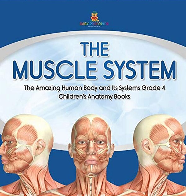 The Muscle System The Amazing Human Body And Its Systems Grade 4 Children's Anatomy Books-..