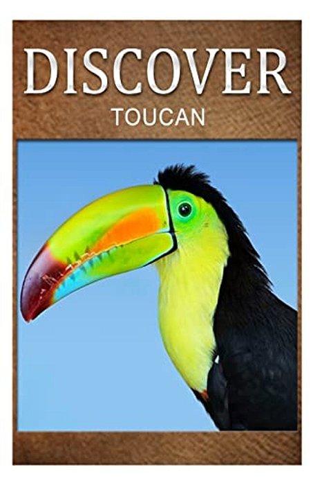 Toucan - Discover: Early Reader's Wildlife Photography Book-..