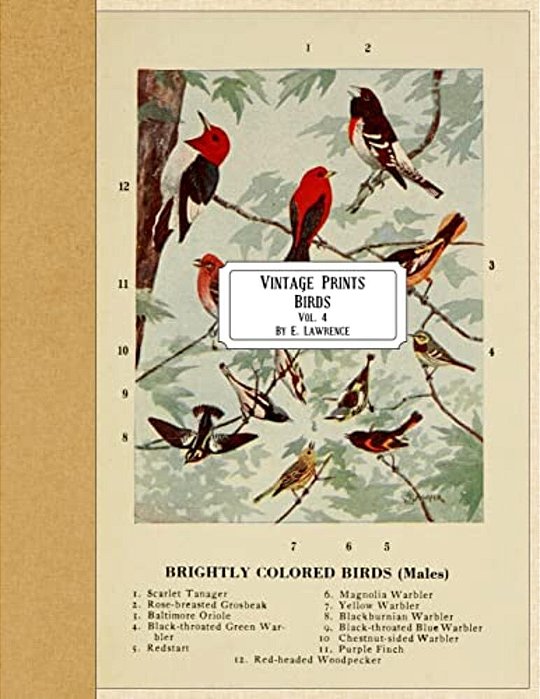 Vintage Prints: Birds: Vol. 4-..