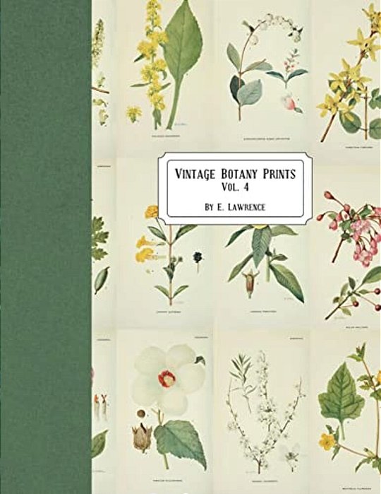 Vintage Botany Prints: Vol. 4-..