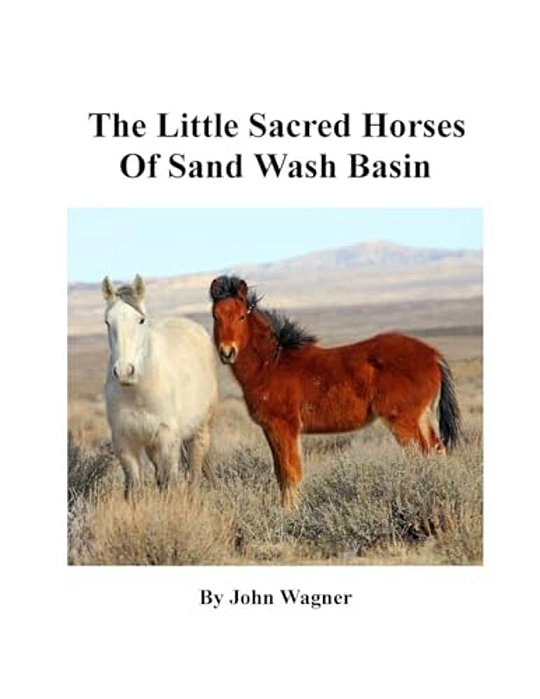 Little Sacred Horses Of Sand Wash Basin-..