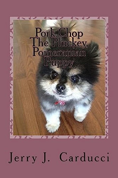 Pork Chop The Pluckey, Pomeranian Puppy-..