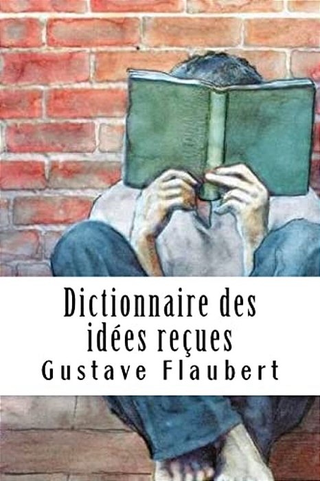 Dictionnaire Des Idées Reçues-..