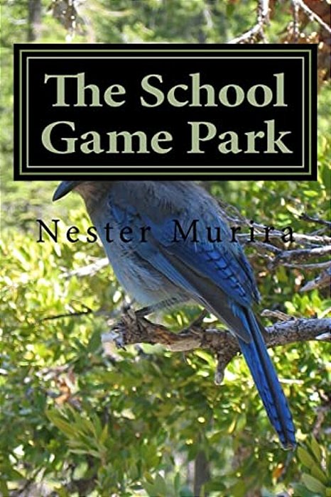The School Game Park-..