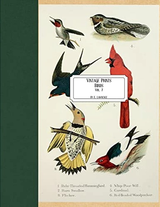 Vintage Prints: Birds: Vol. 7-..