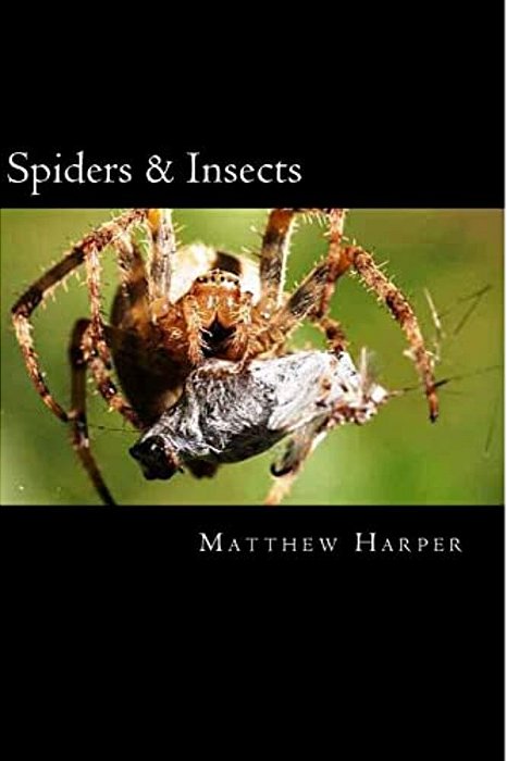 Spiders & Insects: Two Fascinating Books Combined Together Containing Facts, Trivia, Images & Memory Recall Quiz: Suitable For Adults & Children-..
