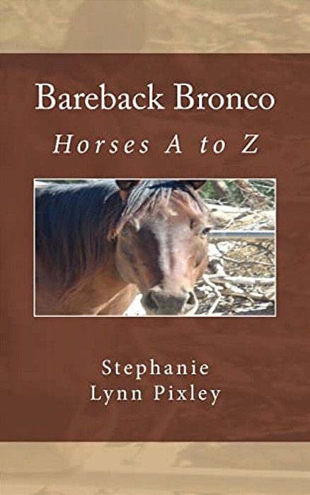Bareback Bronco-..