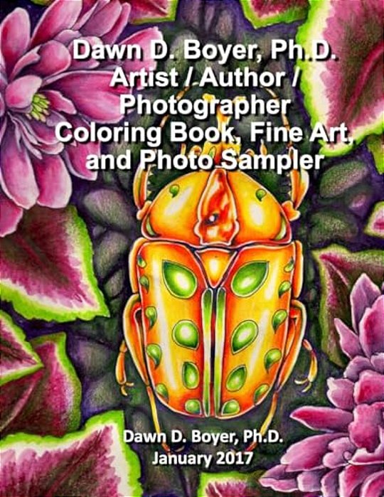 Dawn D. Boyer, Ph. D. - Artist/Author/photographer: Coloring Book, Fine Art, And Photo Sampler: January 2017-..