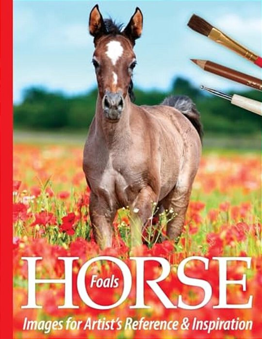 Foals: Horse Images For Artist's Reference And Inspiration-..