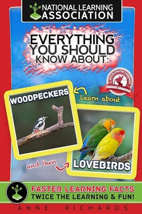 Everything You Should Know About Woodpeckers And Lovebirds-..