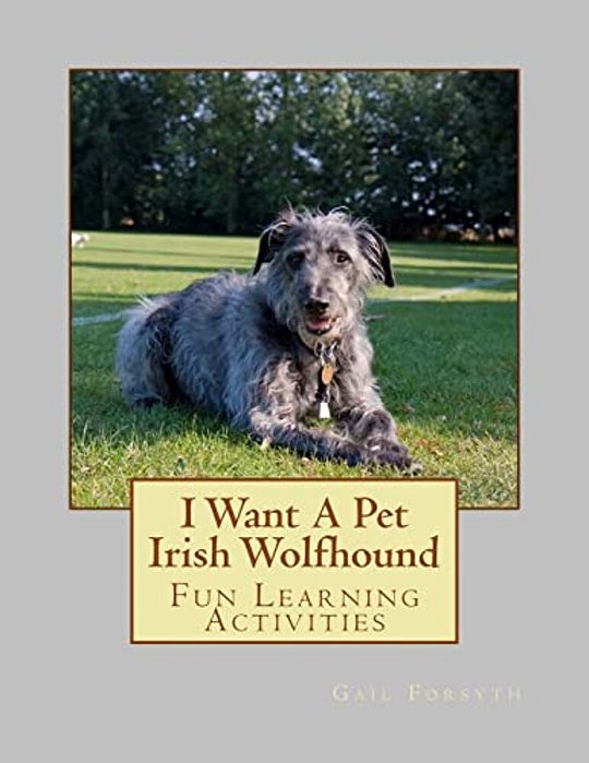 I Want A Pet Irish Wolfhound: Fun Learning Activities-..