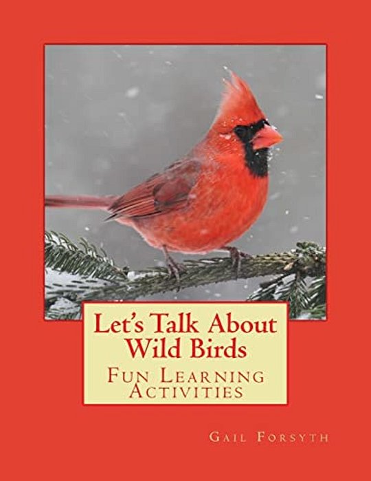 Let's Talk About Wild Birds: Fun Learning Activities-..