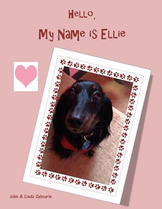Hello My Name Is Ellie-..