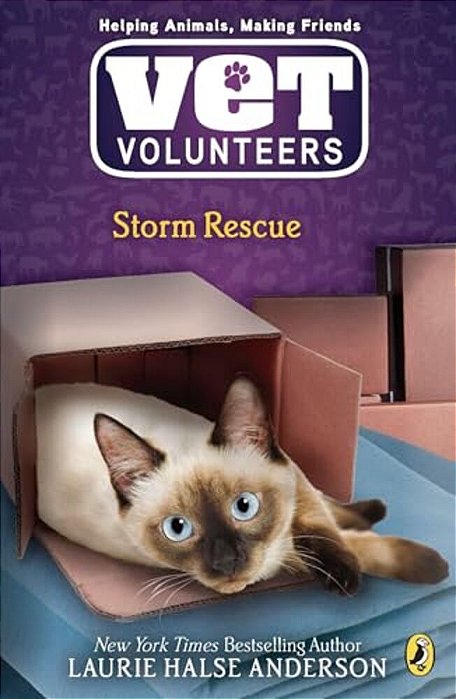 Storm Rescue-..