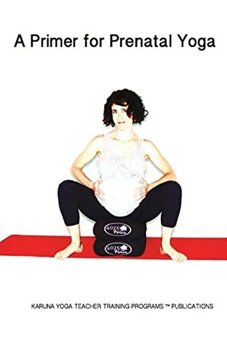 A Primer For Prenatal Yoga: Adaptations And Modifications For Teaching Yoga To Pregnant Students-..