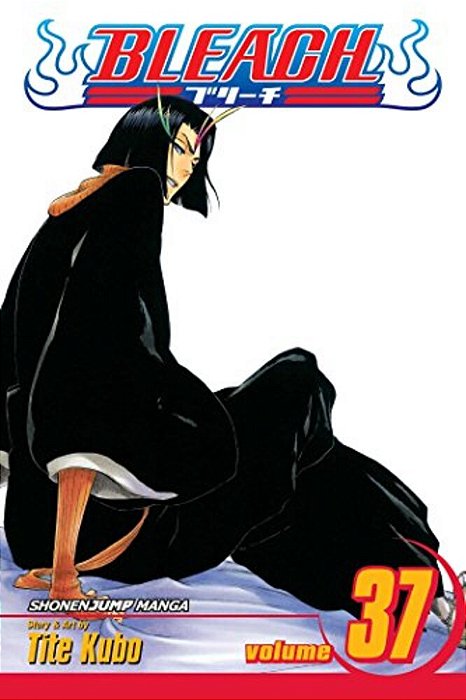 Bleach, Vol. 37: Beauty Is So Solitary-..