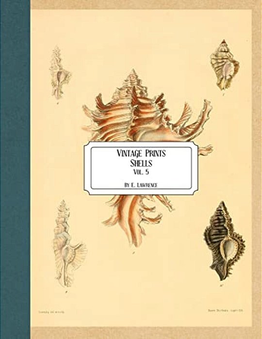 Vintage Prints: Shells: Vol. 5-..