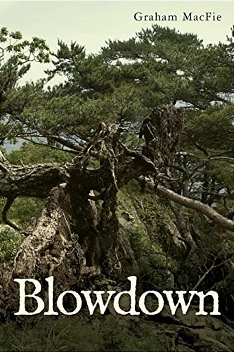 Blowdown-..