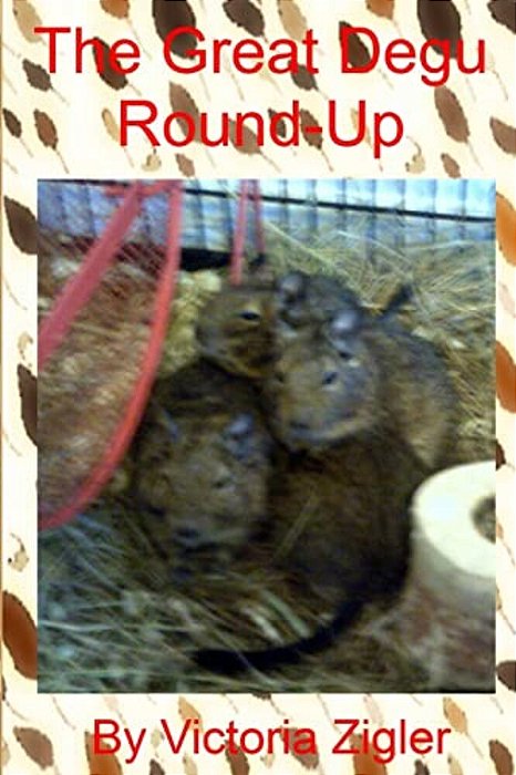 The Great Degu Round-Up-..