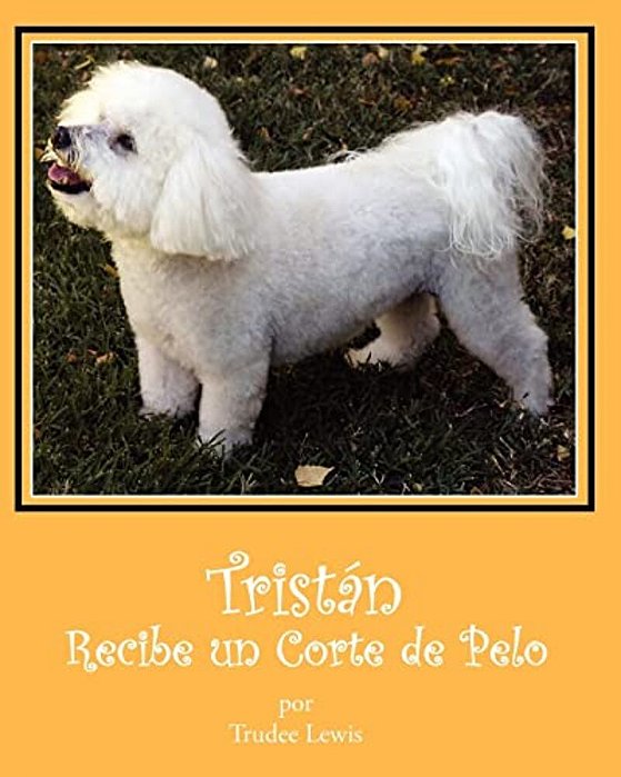 Tristan Recibe Un Corte De Pelo-..