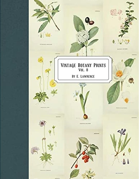 Vintage Botany Prints: Vol. 8-..