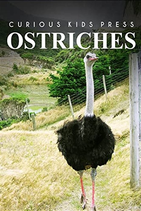 Ostrich - Curious Kids Press-..