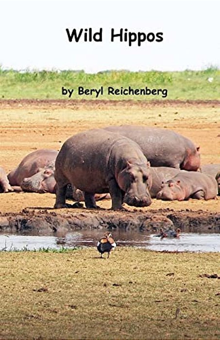Wild Hippos-..