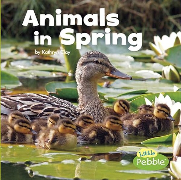 Animals In Spring-..