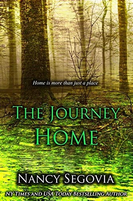The Journey Home: Sometimes Home Is More Than Just A Place-..