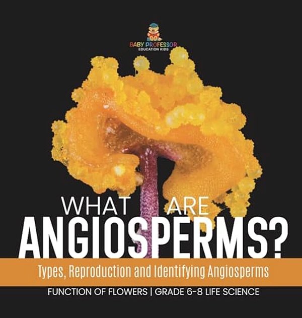 What Are Angiosperms? Types, Reproduction And Identifying Angiosperms Function Of Flowers Grade 6-8 Life Science-..